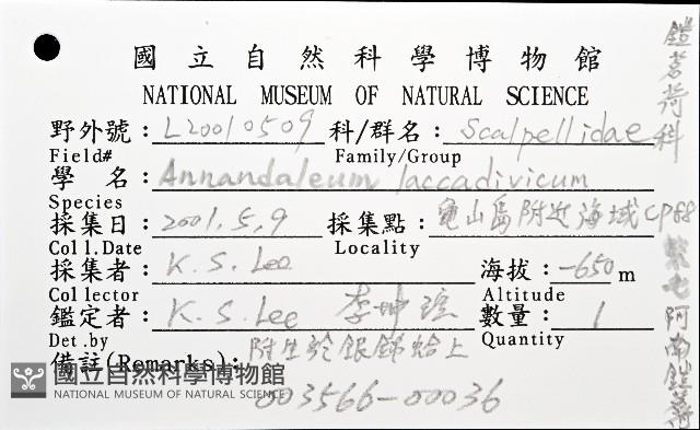 繁毛阿南鎧茗荷藏品圖，第8張