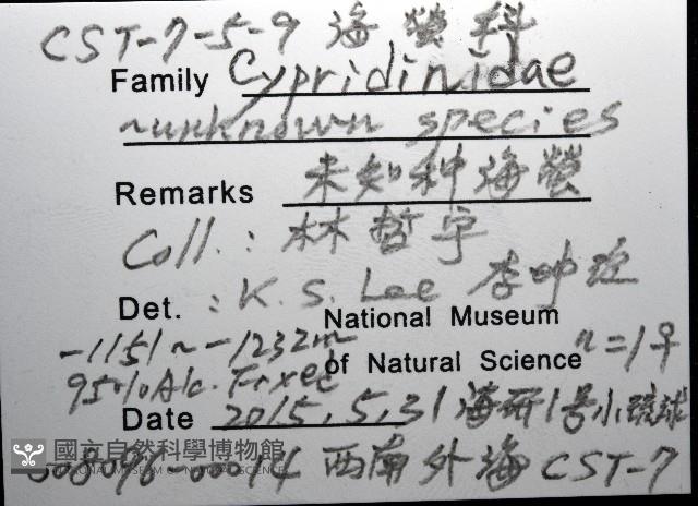 未知種海螢藏品圖，第8張
