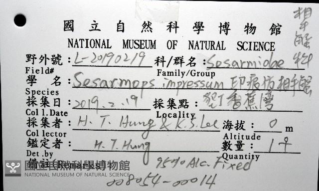 印痕仿相手蟹藏品圖，第8張