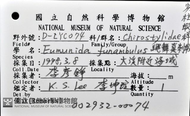 繩舞真刺蝦藏品圖，第8張