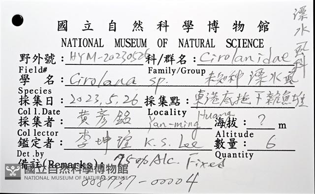 未知種狹長水虱藏品圖，第8張