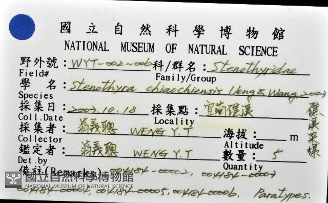 礁溪粟螺藏品圖，第8張