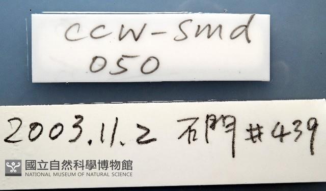 石門闊沙蠶藏品圖，第8張