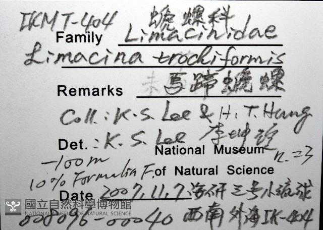 馬蹄螔螺藏品圖，第8張