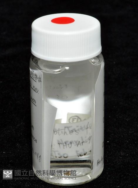 黃克羅蛛藏品圖，第8張