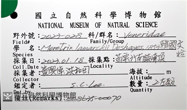 韓國文蛤藏品圖，第8張