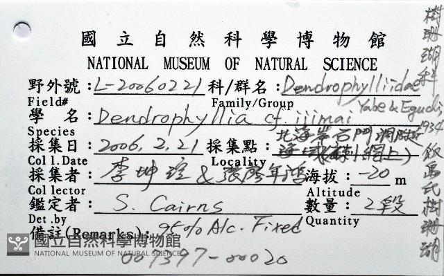 飯島氏樹珊瑚藏品圖，第8張