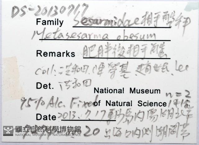 肥胖後相手蟹藏品圖，第8張