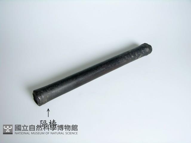 織布機(腰帶)藏品圖，第8張