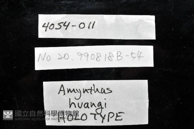 黃氏遠環蚓藏品圖，第8張