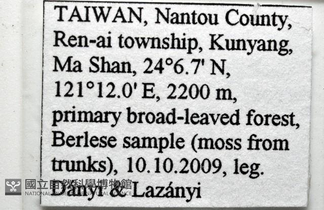 新種昆陽地蜈蚣藏品圖，第8張