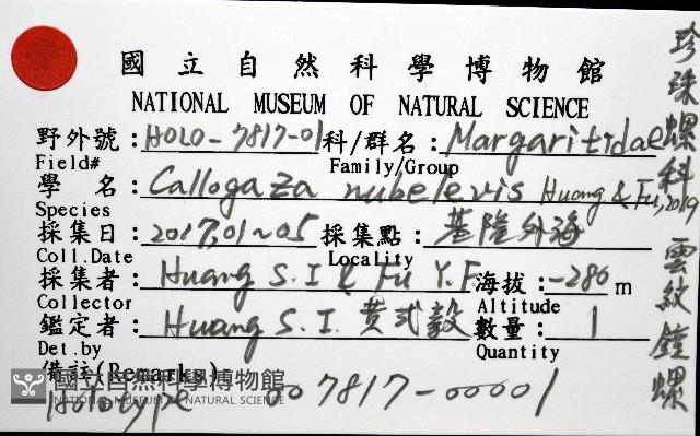 雲紋鐘螺藏品圖，第8張