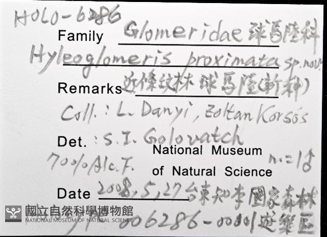 近條紋木球馬陸藏品圖，第8張