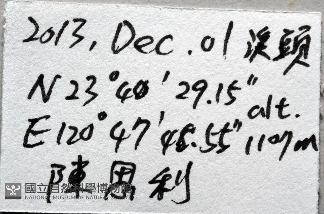 登錄號:007926-00001藏品圖，第8張