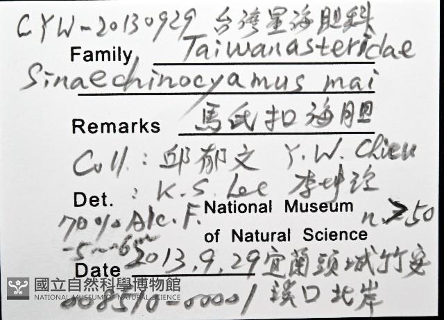 馬氏海錢(馬氏扣海膽)藏品圖，第8張