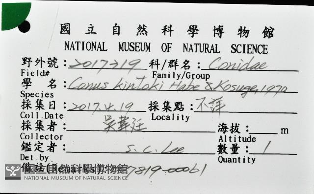 胭脂芋螺藏品圖，第8張