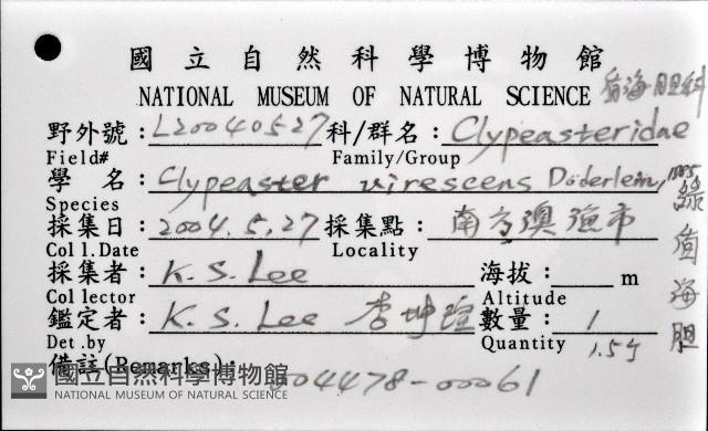 綠楯海膽藏品圖，第8張