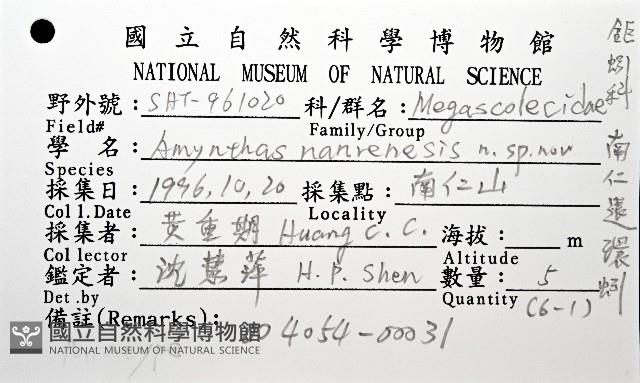 南仁遠環蚓(新種)藏品圖，第8張