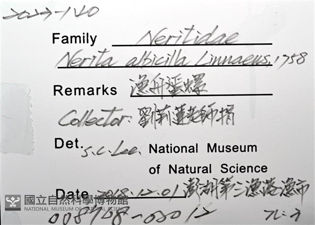 漁舟蜑螺藏品圖，第8張