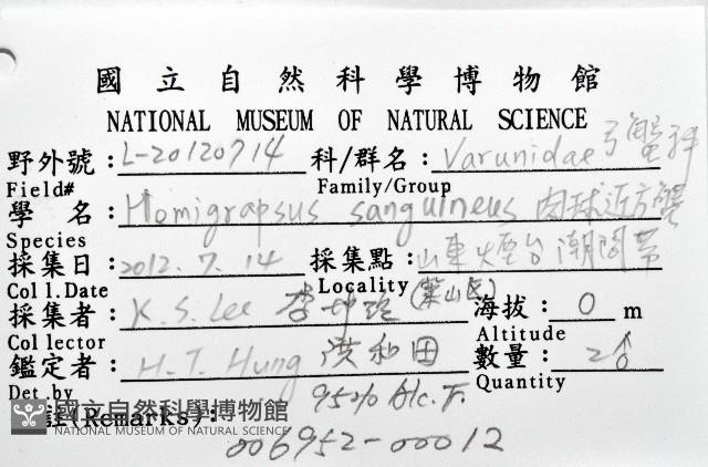 肉球近方蟹藏品圖，第8張