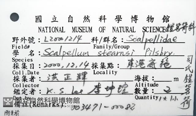 司氏鎧茗荷藏品圖，第8張