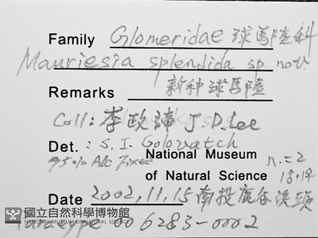 奇妙摩氏球馬陸藏品圖，第8張