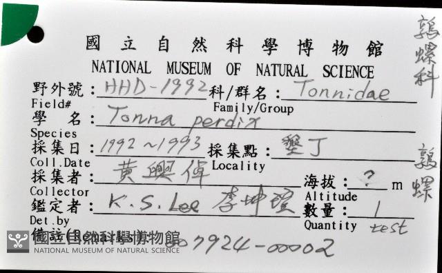 鶉螺藏品圖，第8張