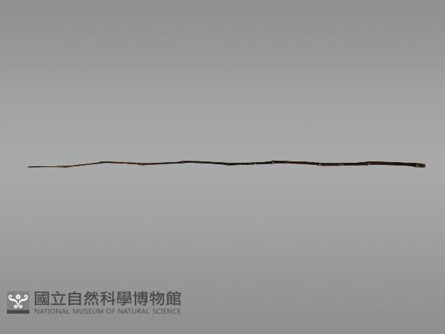 上掛葫蘆小祭桿藏品圖，第8張