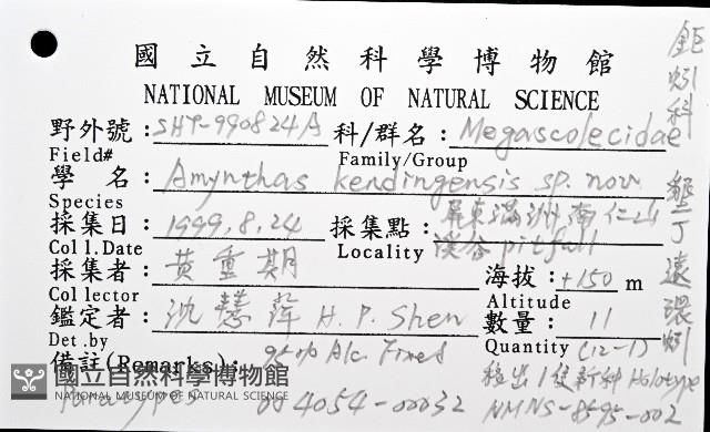 墾丁遠環蚓藏品圖，第8張