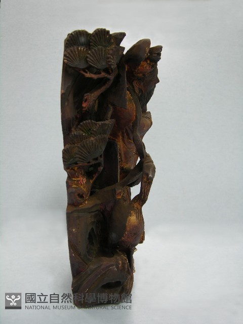 八角斗藏品圖，第68張