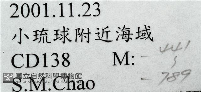 未知種擬寄居蟹藏品圖，第17張