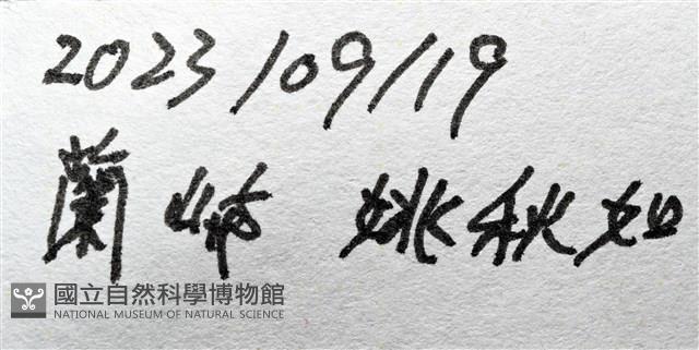 夜光蠑螺藏品圖，第17張