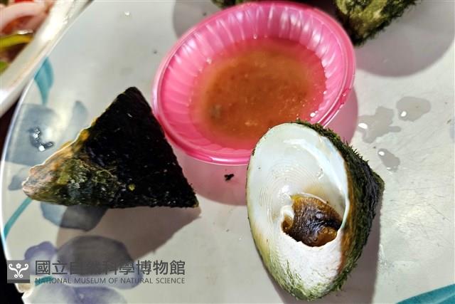 銀塔鐘螺藏品圖，第17張