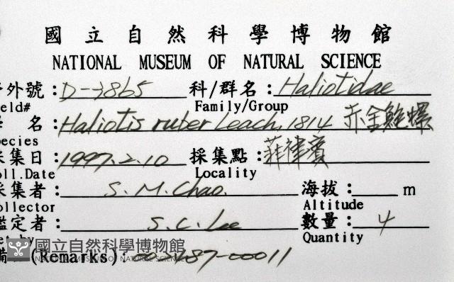 赤金鮑螺藏品圖，第1張