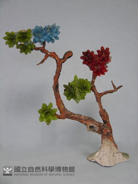 梅山收七怪藏品圖，第17張