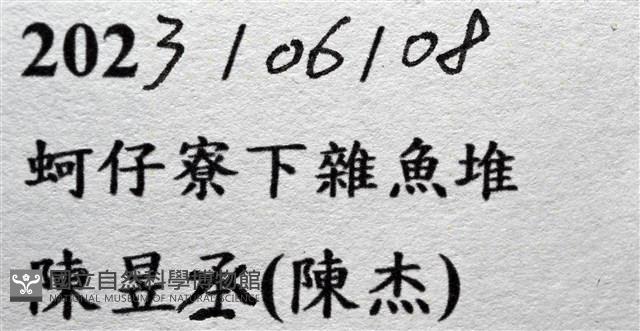 看守長眼蟹藏品圖，第17張