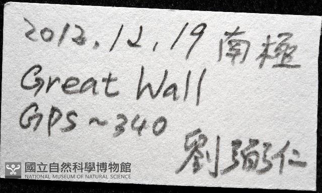 南極骨螺藏品圖，第7張