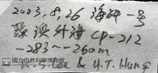 未知種海蜘蛛藏品圖，第7張