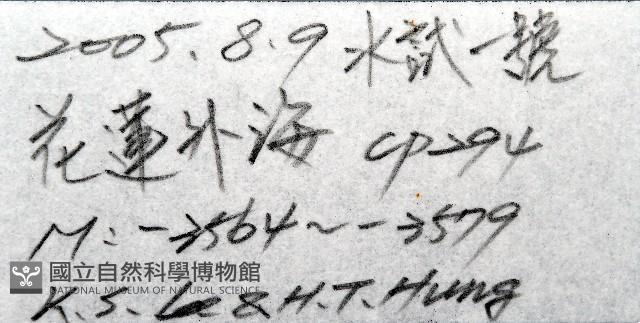 登錄號:004961-00119藏品圖，第7張