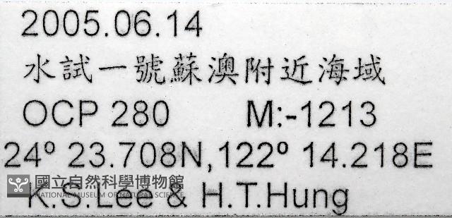 未知種端足類藏品圖，第7張