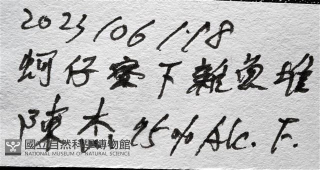 太陽強蟹藏品圖，第7張