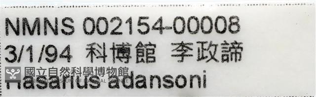 安德遜蠅虎藏品圖，第7張
