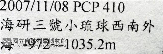 造殼海葵之一種藏品圖，第7張