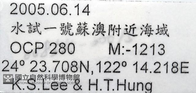 未知種端足類藏品圖，第7張