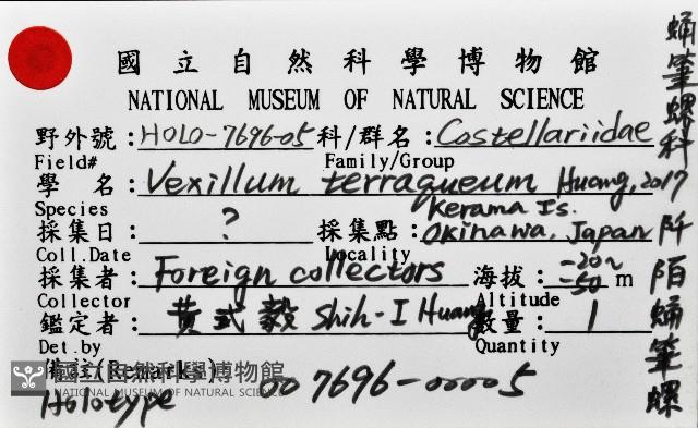 阡陌蛹筆螺藏品圖，第7張