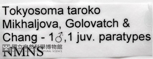 太魯閣東京泡馬陸藏品圖，第7張
