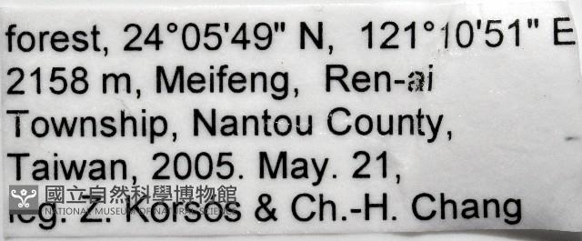 叉角東京泡馬陸藏品圖，第7張