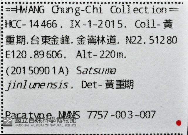 金崙栗蝸藏品圖，第7張