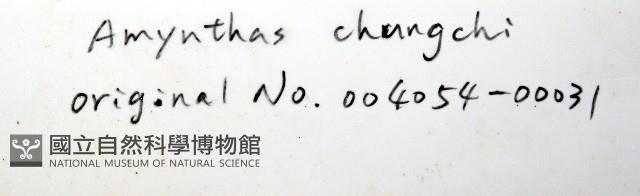 重期遠環蚓藏品圖，第7張