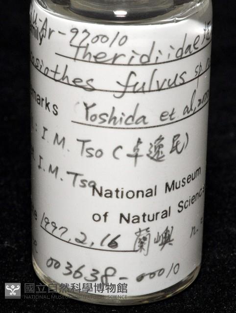 黃克羅蛛藏品圖，第7張